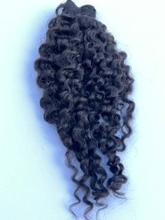 Burmese Curly